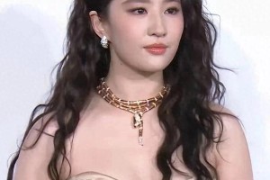 精选图片展示：视觉艺术与创意灵感