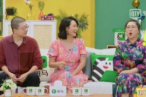 宋妍霏一家用咸菜招待杨迪引争议