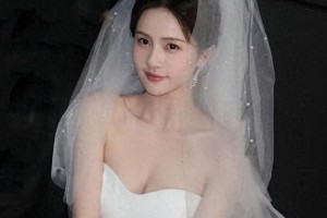 精彩图片集锦：视觉盛宴
