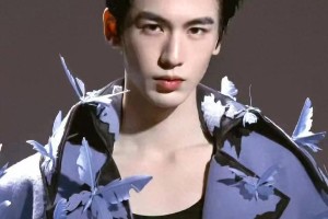 VOGUE盛典男星红毯造型大PK：张凌赫、王一博谁更吸睛？
