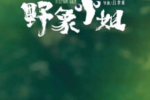 彭昱畅新片《野象小姐》《计划有变》展现多面演技