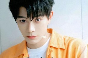 丁禹兮逆袭：从选秀到11月男友的成长之路