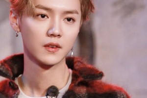 鹿晗梦女文学爆火：揭秘粉丝幻想与追星边界